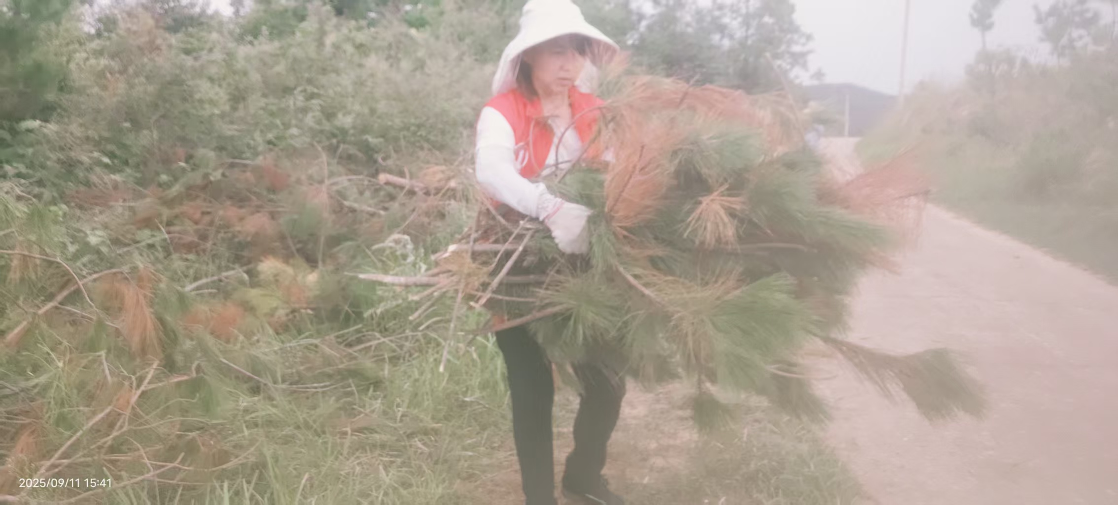 宋埠镇护理员助力五保老人砍柴储备过冬-图片2