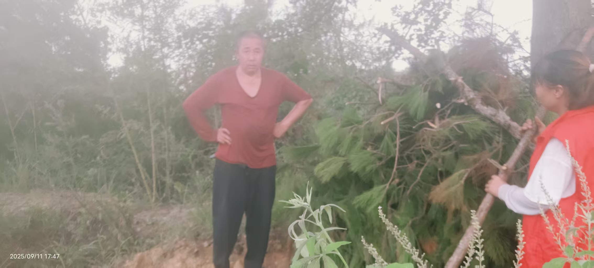 宋埠镇护理员助力五保老人砍柴储备过冬-图片3