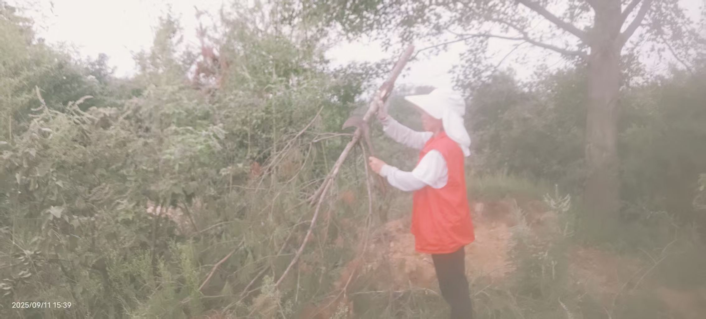 宋埠镇护理员助力五保老人砍柴储备过冬-图片1